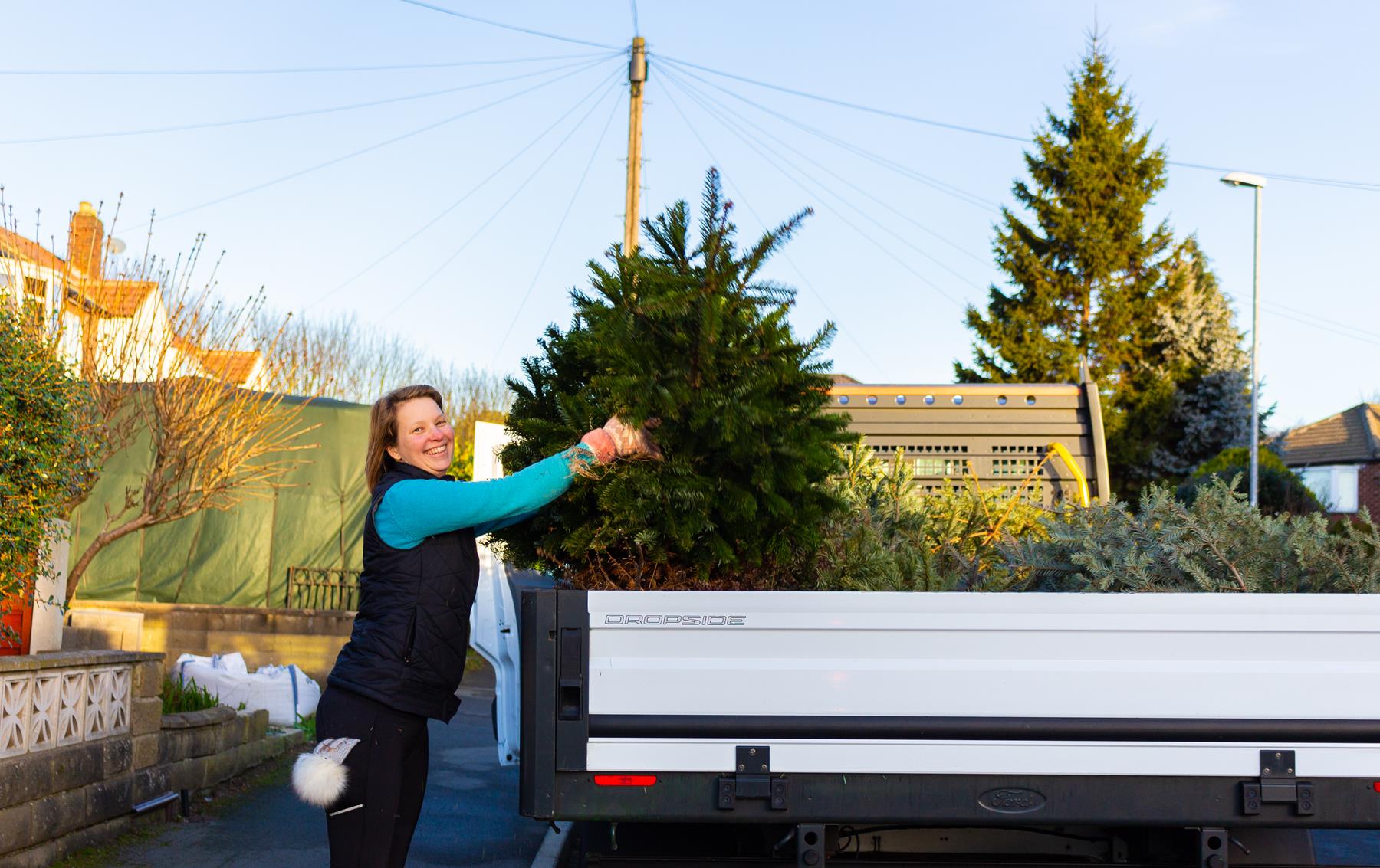 St Gemma's Hospice on Twitter "Our Christmas tree collection service