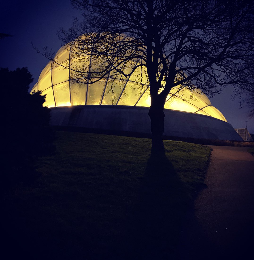 RikkeMaimburg's tweet photo. Botanisk have i Aarhus her i eftermiddag #aarhus #botanisk #væksthuset #visitaarhus https://t.co/ECjpkBLkHg