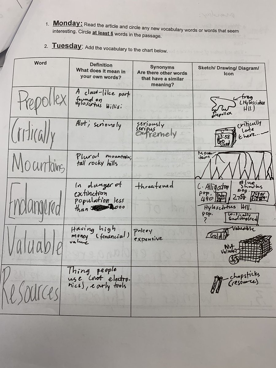 mrmohnsclassmpe's tweet photo. Great vocabulary work! โYes, it is my best work!โ #theyputinwork https://t.co/zzIrkWWZ82