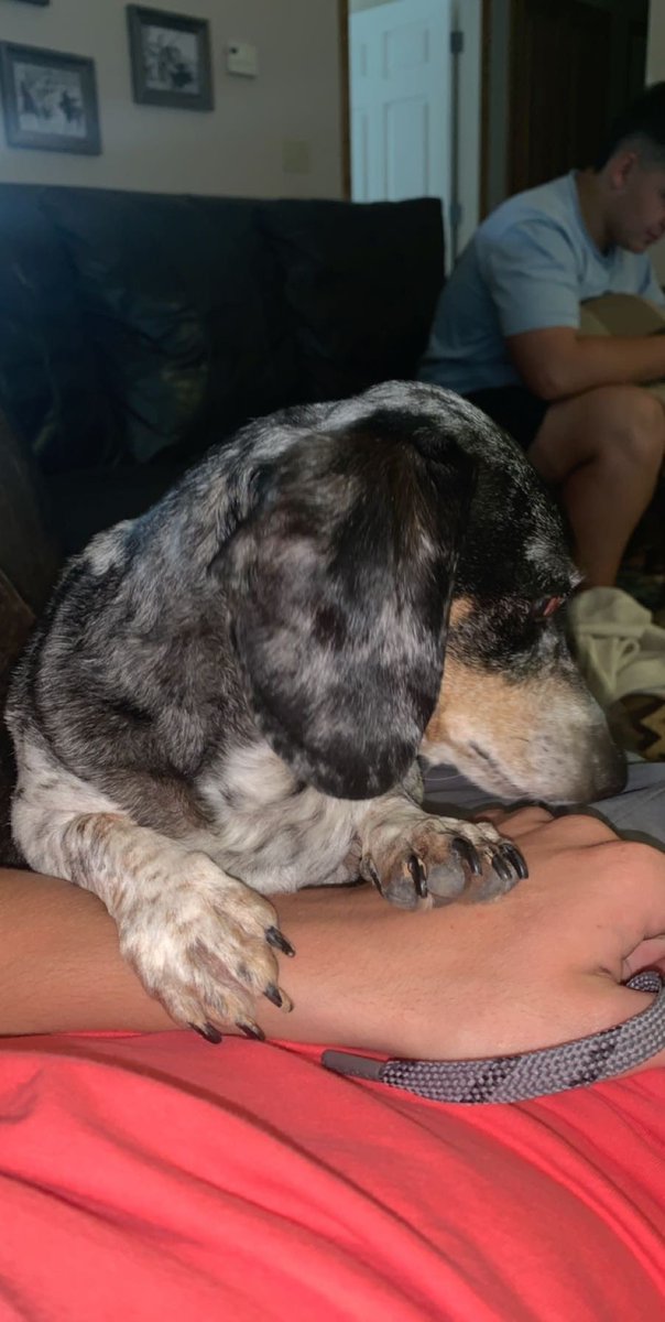 pickard_kyle's tweet photo. For those of y’all that know Jackson, he disappeared on New Year’s Eve. Idk if this will help find him but it’s worth a shot. https://t.co/PHt8jTiQsh
