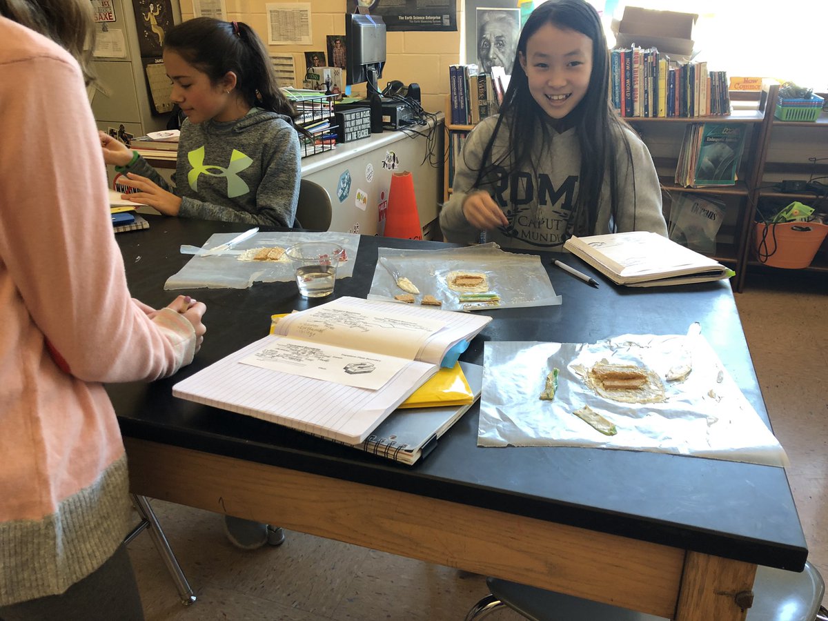 6th Grade Blue Team tweet media