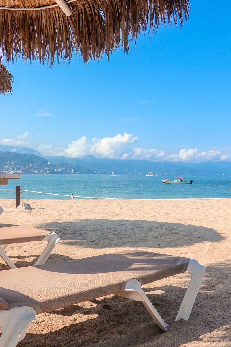SunscapePVR's tweet image. ¡Amamos los días de sol, playa y arena! 🌴 #LovePV #PuertoVallarta 
¿Quién ya quiere estar aquí? 😎 ¡Levanta la mano! 🙋‍♀️🙋‍♂️ o haz clic aquí y reserva: bit.ly/SunscapePuerto…
