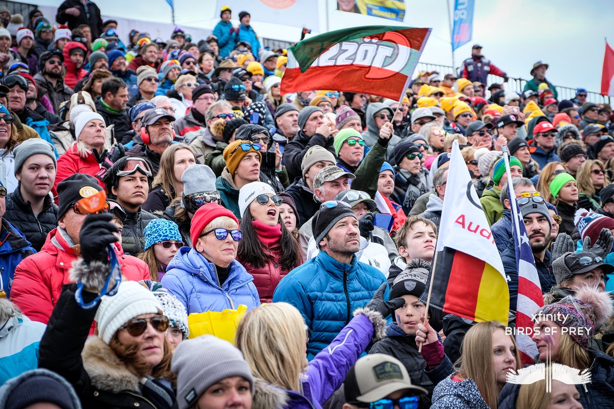 Xfinity Birds of Prey tweet media