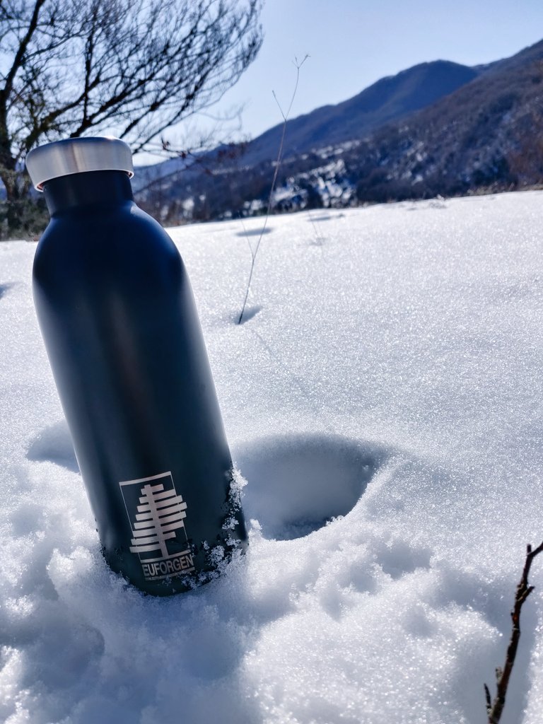 simonemori's tweet photo. happy with #myeuforgenbottle  I love the new @EUFORGEN @24bottles_ ! #endplasticwaste #startwithabottle #24Bottles https://t.co/QESmLaHJ95