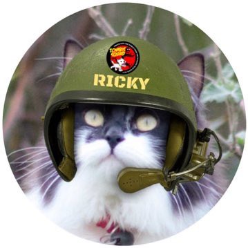 kitten_ricky's tweet photo. #RIPmau #mau at ease soldier @MauSupercat https://t.co/rLbUuCQpjG