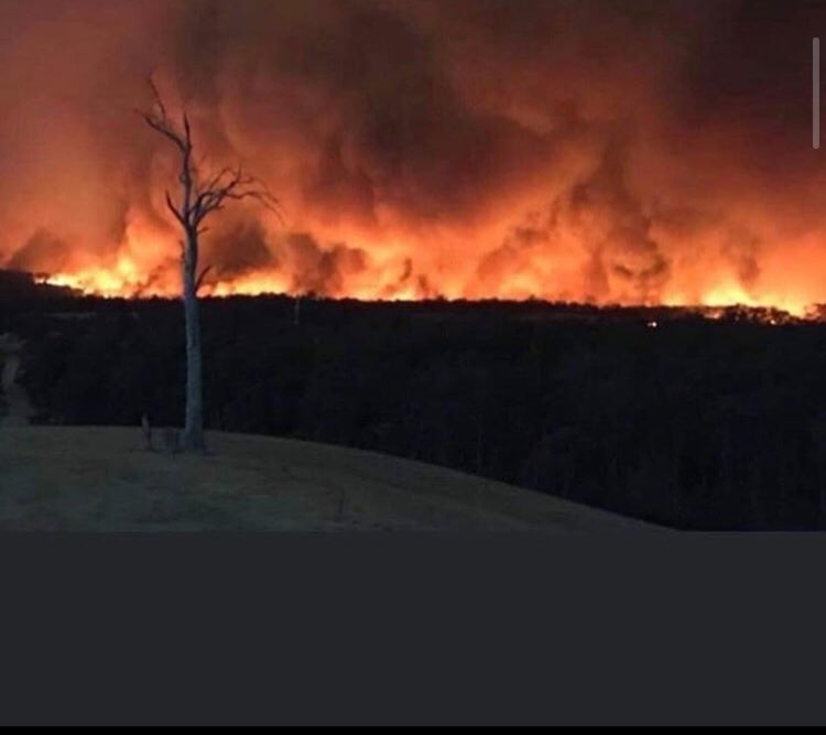 This picture was taken in the Gippsland fires near Sarsfield. The demonic apparition in right hand corner of the blaze can’t be unseen <a href="/sunriseon7/">Sunrise</a> <a href="/7NewsMelbourne/">7NEWS Melbourne</a> #Gippslandfires