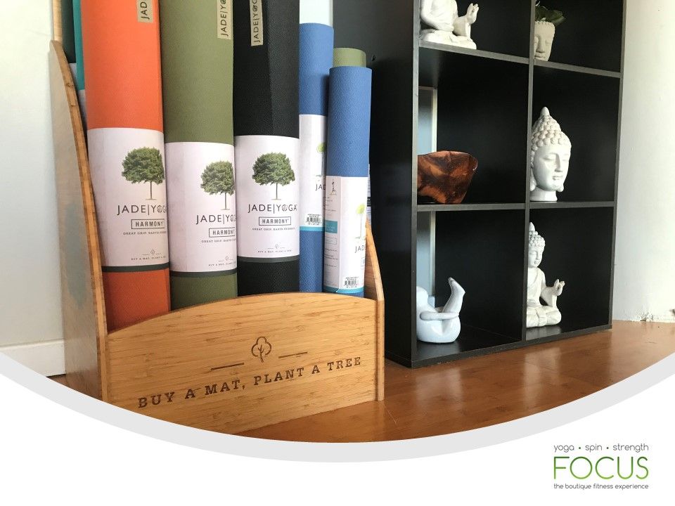 FocusFitnessML's tweet photo. Buy a mat, plant a tree! Jade works with Trees for the Future by providing funding for these projects, planting one tree for every mat sold. Through their buy a mat, plant a tree program, they have now planted over ONE MILLION trees! Stop by and purchase a mat today! https://t.co/Tz9JdJqHGp