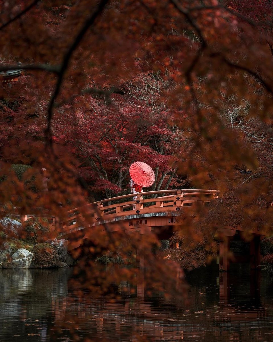 LeBuzzMagazine's tweet photo. "Travel is not a reward for working, it’s education for living." We definitely agree with this quote, like Piyata (https://t.co/wLAnmJOZ4q) posted under one of his latest pictures from Japan. Check his account to see some more incredible images from his trip. / Repost https://t.co/ZbTYFuxyCQ