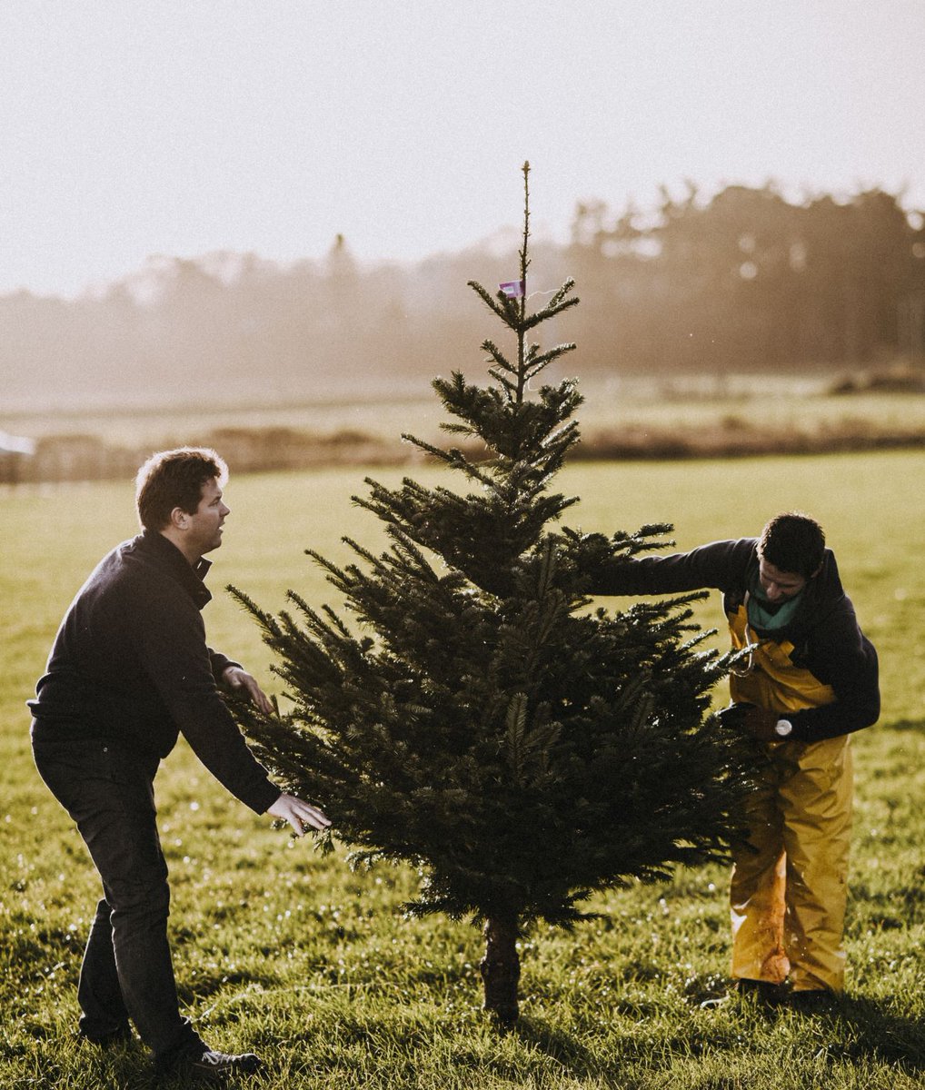 dartsfarm's tweet photo. Recycle your Christmas Tree whilst supporting @Hospiscare !

For more information and to register your tree please head to the Hospiscare website. Don't miss out, Registration closes at 9am on 7th January.

https://t.co/rXAzs1cnAa https://t.co/z8JnaRPn2i
