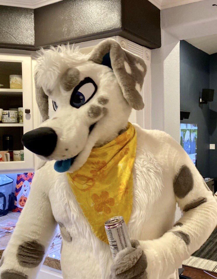 saltmutt's tweet photo. Happy 2020!! A few folks were asking for the full pic (from new icon) // photo by ⁦@ashkiistar⁩ <3 https://t.co/aV4lX7Z3h4