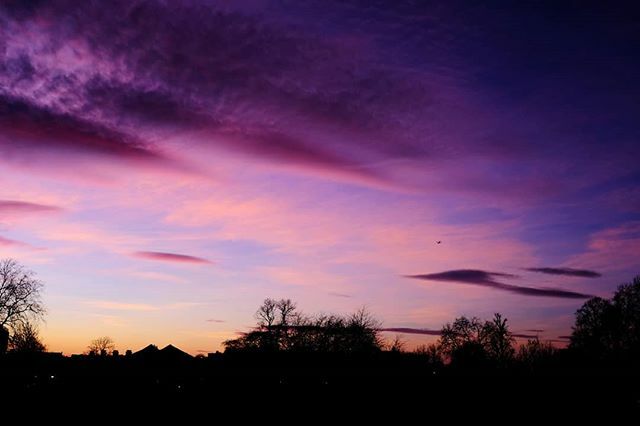 daniel_ellis_wp's tweet photo. The best of all the various skies that day. Spot the plane.
#beautifulsky #wintersky #londonsky #purplesky #darktrees #silhouettes #planespotting #peckhamrye #peckhamryecommon #walkswithmorty https://t.co/xpNX9cx6J6 https://t.co/IngBa0g5PZ