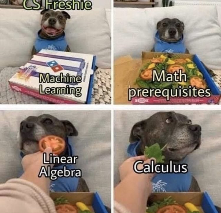 MiraTechno's tweet photo. Why is this so me though😅😅

When I’m trying to learn more about #MachineLearning

#javascript #ai #tech #cybersecurity #womenintech #WomenWhoCode #WomenInSTEM #coding #Tensorflow https://t.co/SxuFrlLUC0