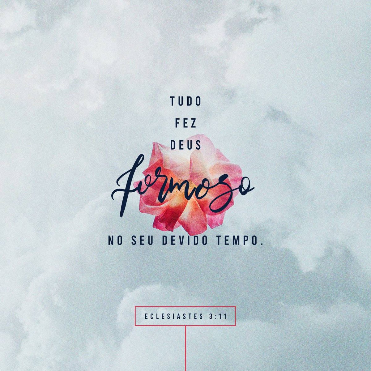 Leia_a_Biblia's tweet photo. Comece o dia com essa certeza, afinal Ele sabe o que é melhor pra você e quando é o tempo de viver esse melhor 🙏😉

#tempocerto #tempodeDeus #tempo https://t.co/PFoEA7Xest
