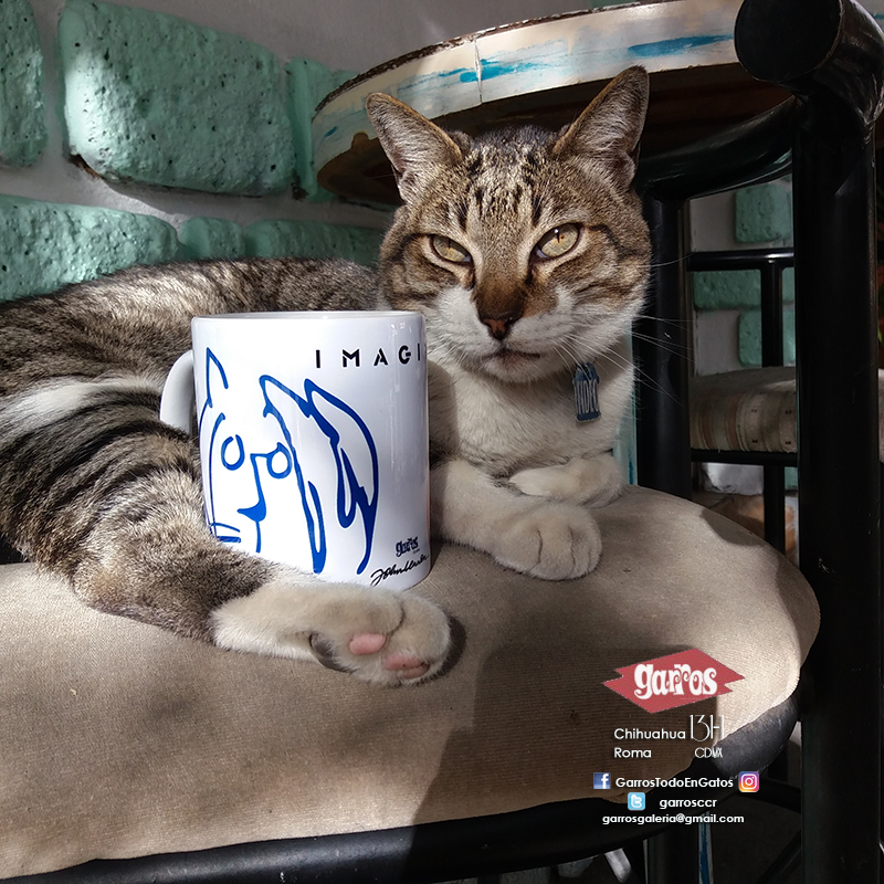 GarrosCCR's tweet photo. Taza #Rockats #Lennon edición limitada.
Original de #GarrosGalería
Chihuahua131/1 #catlover #cdmx #popart https://t.co/XzmpceeFVN