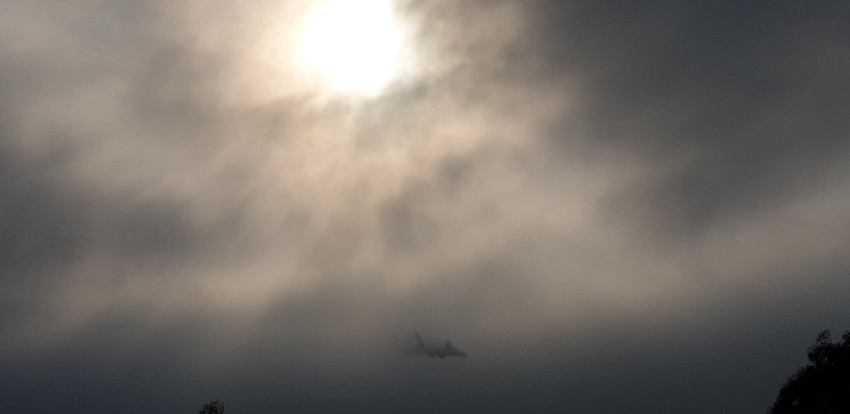 CherScheff's tweet photo. Friday morning flight comes in to land through a smoky haze and sun rising
#Sydneyskies
#January3rd2020
#sydneysmoke
#Sydneyweather https://t.co/GYu0ApGkgN