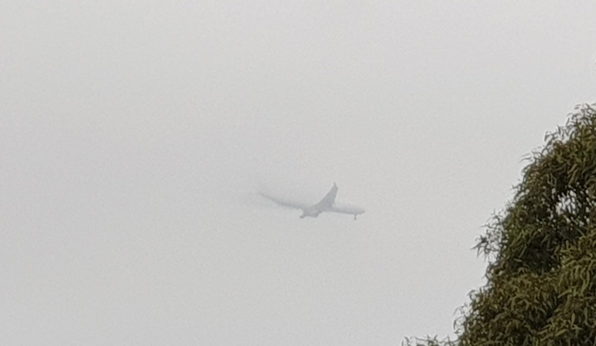 CherScheff's tweet photo. Friday morning flight comes in to land through a smoky haze and sun rising
#Sydneyskies
#January3rd2020
#sydneysmoke
#Sydneyweather https://t.co/GYu0ApGkgN