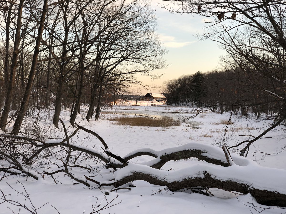  – bei  Fore River Trail