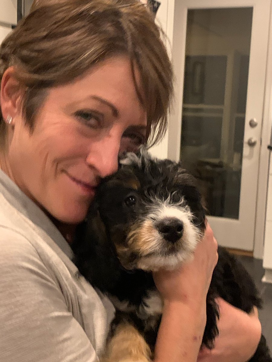 My puppy is teaching our big, blended family about successful collaboration! My workshop on collaboration just got a new mascot. Does your team need to communicate better? Fun, interactive, half-day program may be the answer. #engagement #collaboration #hr #shrm #hrtribe
