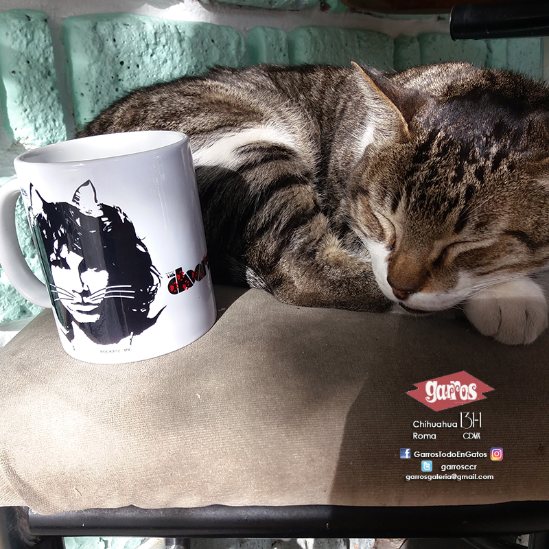 GarrosCCR's tweet photo. #Rockats #TheDoors edición limitada #popart original de #GarrosGalería Chihuahua131/1 #catlover #cdmx https://t.co/71J1ndvKG0