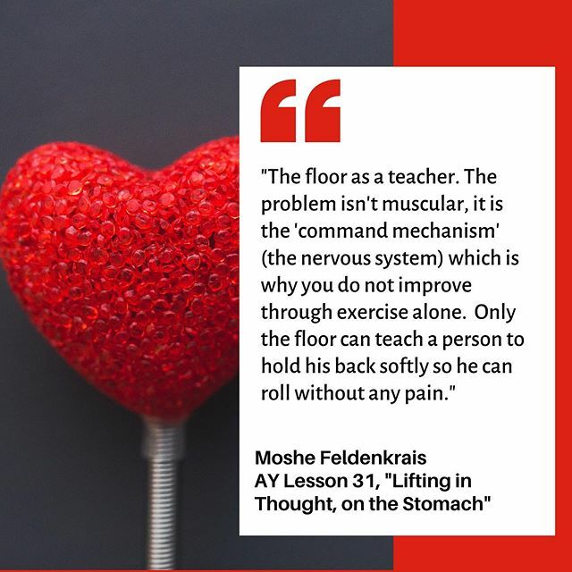 angeemc's tweet photo. "The floor as a teacher. 
The problem isn't muscular, it is the 'command mechanism' (the nervous system) which is why you do not improve through exercise alone.  Only the floor can teach a person to hold his back softly so he can roll without any pain." … https://t.co/SRdN4n5F1Y https://t.co/dpIWxsW23w