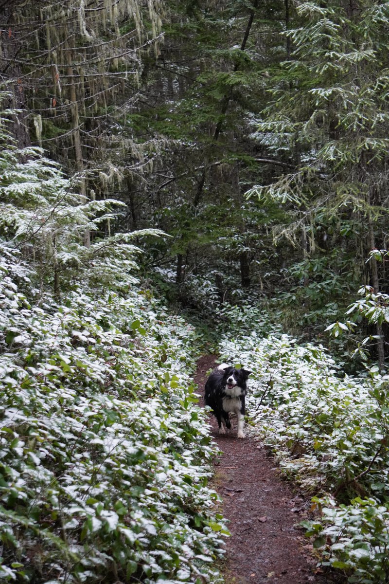 Started to snow in the Olympic Mtns.