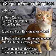 The Feline Philosopher=^..^=🇨🇦🐾💕 tweet media