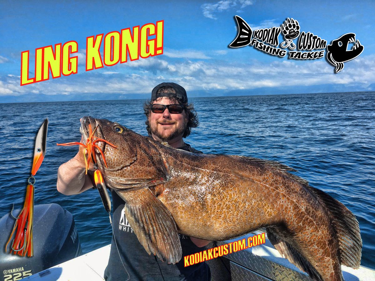 Kodiakcustom's tweet photo. Lingcod World News Reporting! Team @Kodiakcustom saved the world with their Bottom Fish Jigs and LING KONG is dead! https://t.co/e4RDXT4lf8 #lingcod #lingkong #lingnessmonster #lingcodjigs #lingzilla #kodiakcustom #kcft #famousdavis #lingcodfishing #Alaskafishing #Kodiak #Alaska https://t.co/WrBwMQNUgw