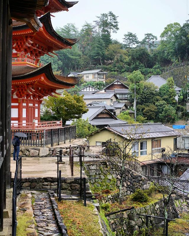 xdargu's tweet photo. Miyajima Island is just a short trip from Hiroshima, but it's incredibly beautiful! It's the perfect chance to go to a more rural area. I loved the small houses and shrines, like this one, in a very rainy day. https://t.co/iC9693jykr https://t.co/Kso6yQzoa6