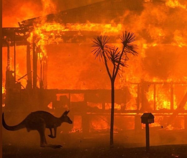 XrArgentina's tweet image. 🔥Incendios en Australia: casi 6 millones de hectáreas quemadas. Al menos 18 muertos, 28 desaparecidos.  500 millones de animales muertos.  La evacuación más grande en la historia del está sucediendo. 
#Australiaonfire #crisisclimatica #actuarahora
