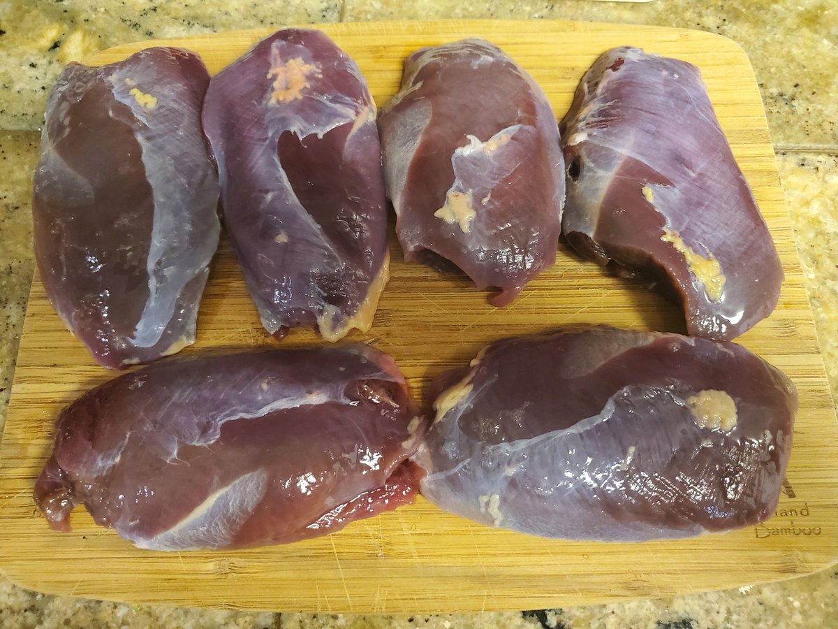MayThewords's tweet photo. Just checked for shot but no guarantees๐ #duckgumbo https://t.co/ZIDb0y2bys