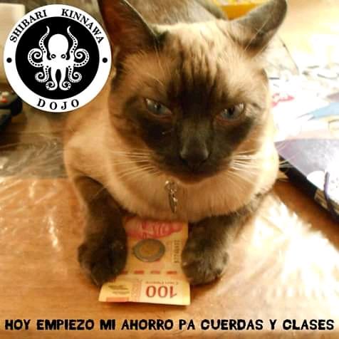 ShibariKinnawa's tweet photo. Quién va a incorporarse a nuestros módulos éste año? 🎊

#FelizJueves https://t.co/Qw5HR87BPH