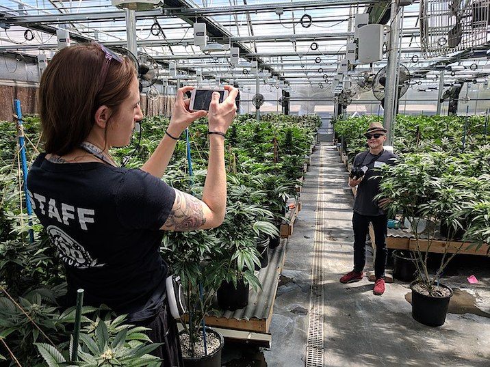 Canna-tourism is going to become a major industry and we can't wait to see the opportunities that develop in 2020. buff.ly/33nR4Jl
#CannabisTourism #NewHeights #2020
<a href="/TheGrowthOp/">The GrowthOp</a> <a href="/JLMSMarketing/">JLM Marketing</a> <a href="/aeroponleaf/">Zalemark/AeroPonLeaf</a>