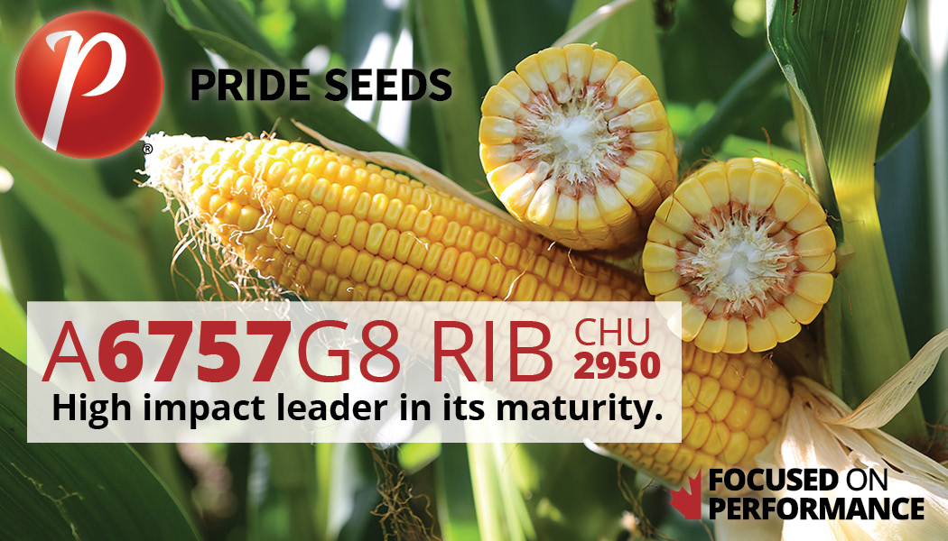 This is a popular hybrid and a great choice for dual-purpose grain and silage use. It also has excellent ear mould resistance. Click here to read more about this awesome hybrid. prideseed.com/products/corn/… #PRIDESeeds #PRIDEinMyField