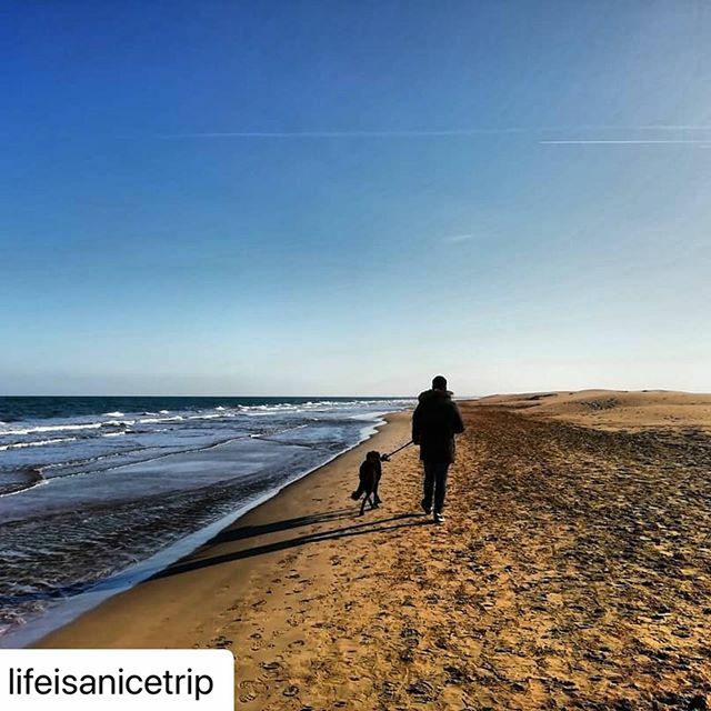 TastalRiu's tweet photo. Muchas Gracias por l@ mencion, nos encanta que hubierais pasado un finde agradable,  y con vuestra mascota. 🐾#deltadelebreecoturisme #catalunyaexperience #dogandfamily #escapatenparella #deltadelebre #deltebre #femturisme #ecoturisme #natura #holiday… https://t.co/5PNuvZAeR9 https://t.co/yC7ejwYt4A