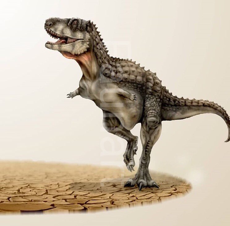 faunart's tweet photo. #Paleoart illustrating a proposed behaviour for #Abelisaurids. #scicomm #sciart #illustration #drawing #paleontology #dinosaurs https://t.co/GK5AZi8Rcw