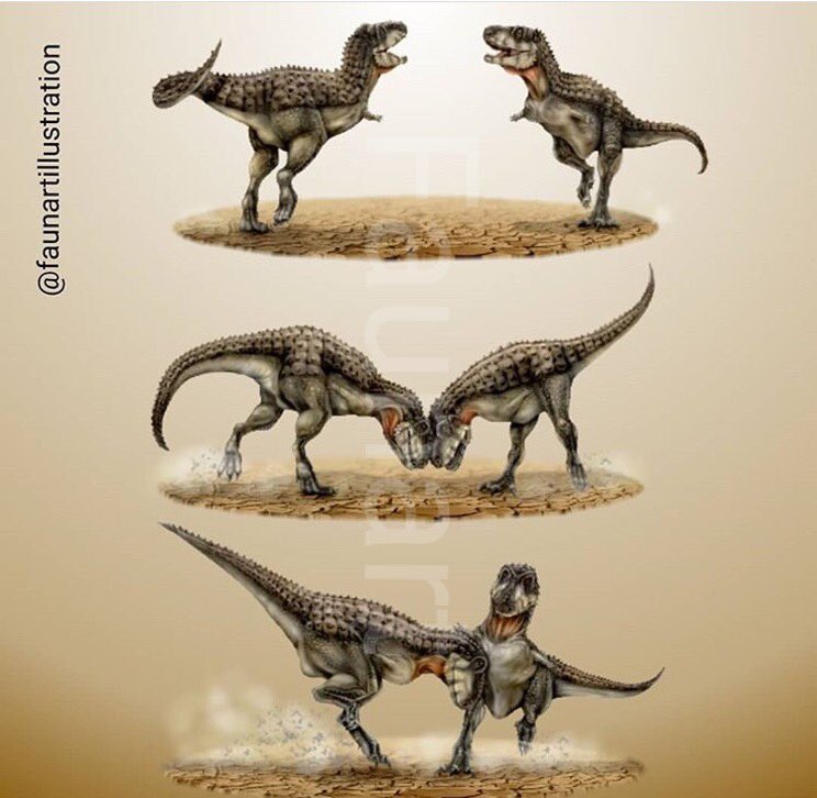 faunart's tweet photo. #Paleoart illustrating a proposed behaviour for #Abelisaurids. #scicomm #sciart #illustration #drawing #paleontology #dinosaurs https://t.co/GK5AZi8Rcw