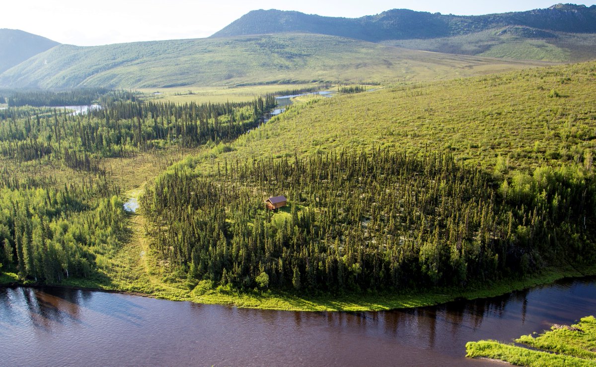 River and forest landscape view