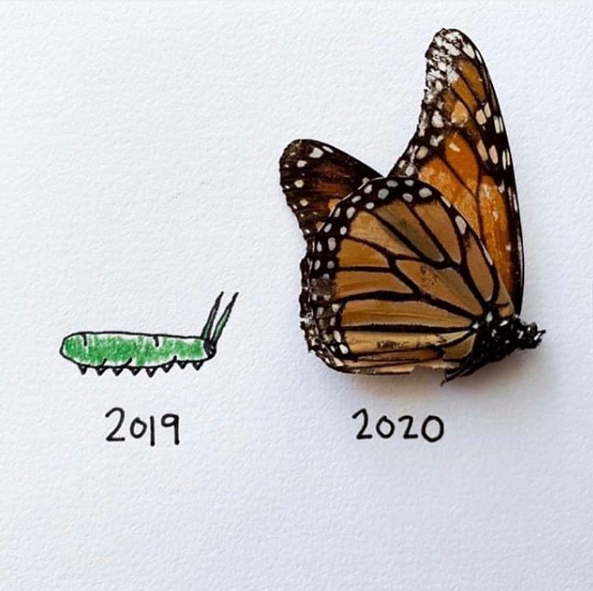 "Stay committed to your decisions, but stay flexible in your approach." - Tony Robbins

What are your goals for the new year?  #2020 #twentytwenty #vhnutrition #newyear