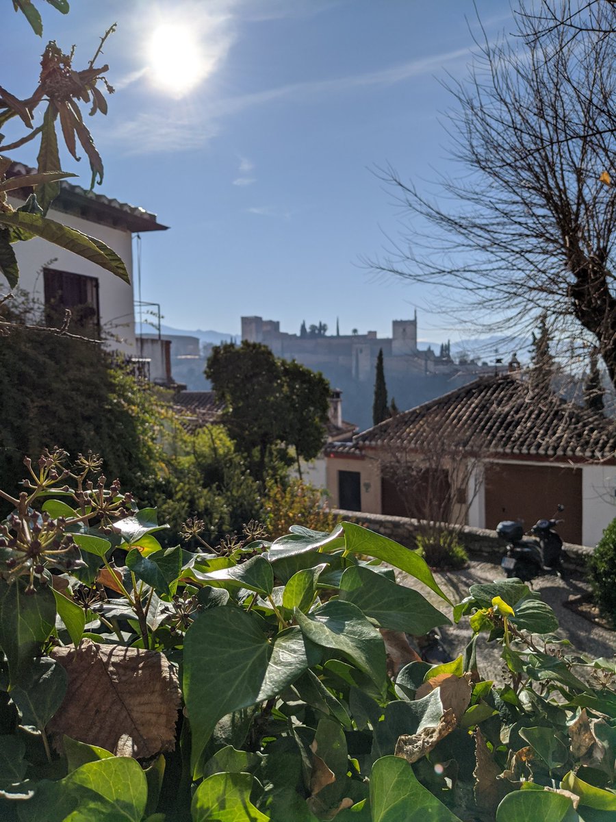 MPG6's tweet photo. 👌🏾Los paseos por Granada siguen siendo inigualables. #Granada #Andalucía https://t.co/4zXc6aV8iH