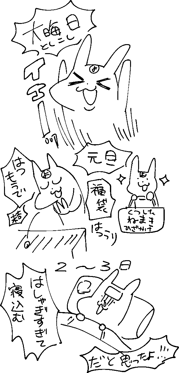 明けましておめでとうございました!!! 