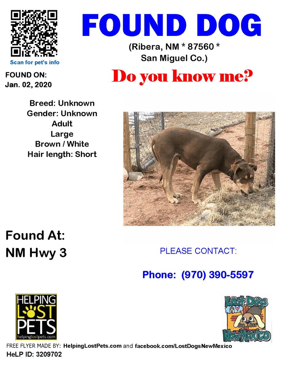 🛑🛑 Do you know this Dog? #Ribera (NM Hwy 3) #NM 87560 #SanMiguel Co. , #Found #Dog 01-02-2020!, Large / Adult / Brown / White facebook.com/LostDogsNewMex…