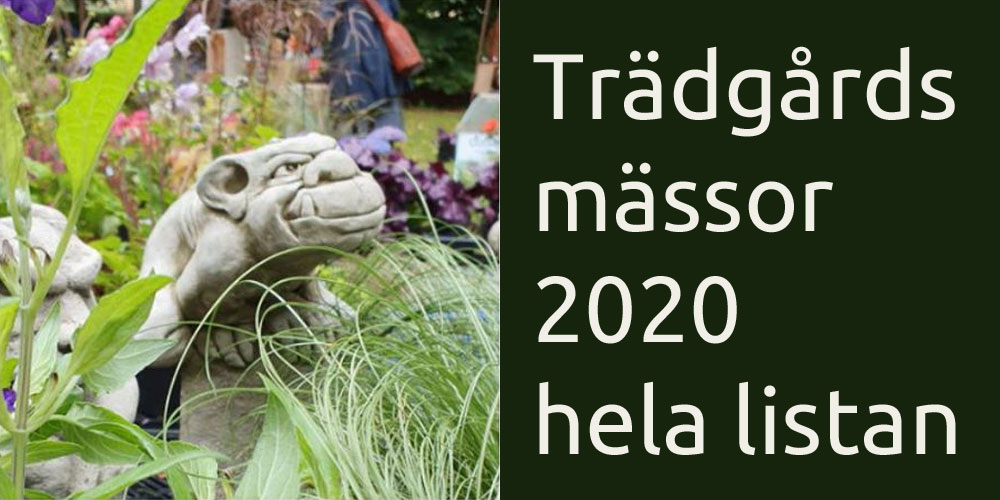 gecko_se's tweet photo. Trädgårdsmässor 2020, hela listan på 40 st mässor, marknader och trädgårdsdagar över hela landet. 

https://t.co/8hyOGaMpZN

Har vi missat någon? Tipsa oss!

#geckoträdgård #trädgårdsmässa #trädgårdsmässor https://t.co/sasAdExXhu