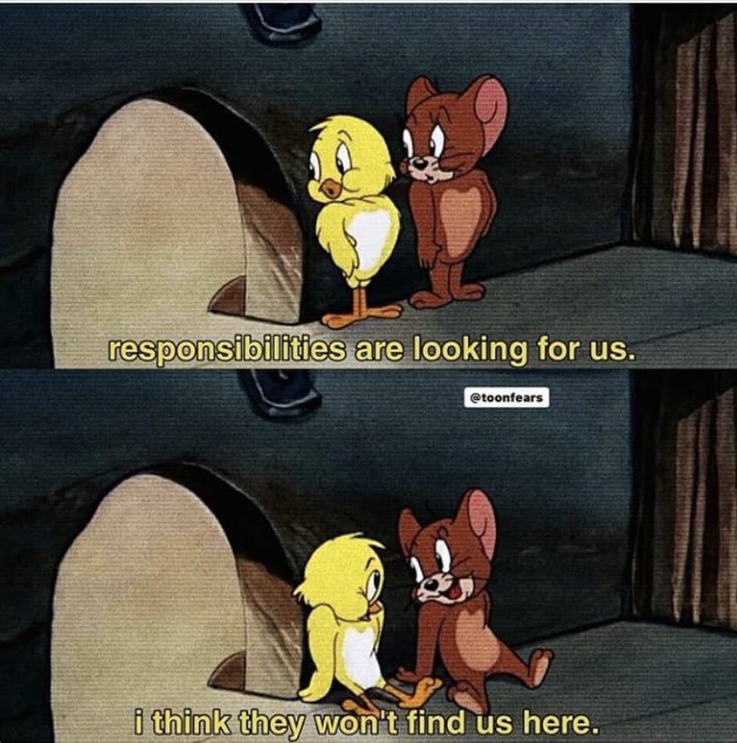 shtipools's tweet image. 