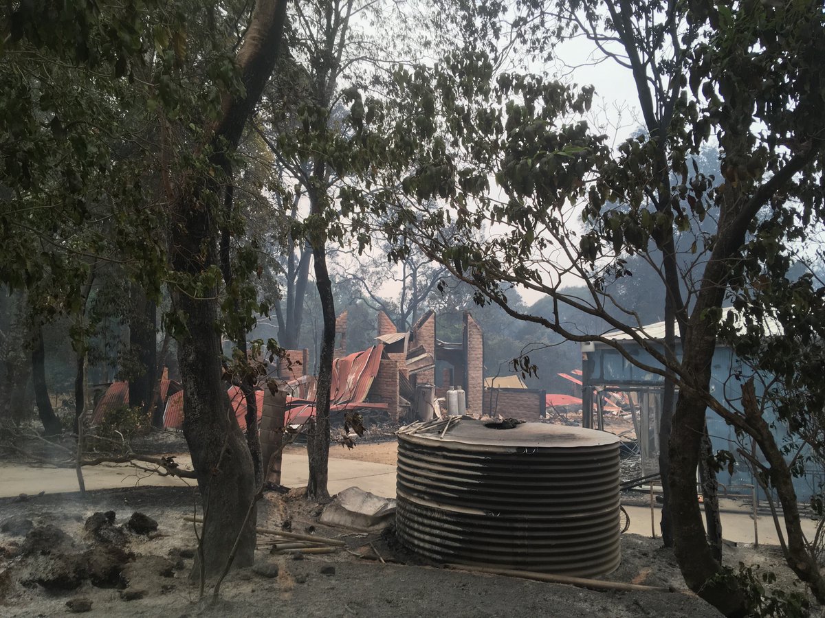 Cellist_KRule's tweet photo. Mallacoota fires via bicycle.  1) packed leaving home 30 dec 2) down at wharf early with bike and viola, slept on park bench 3) sky went pitch black before fire hit town 4) my house ok, many others not. It’s not over! @guardian @flyingless @GretaThunberg @ABCClassic @kellazzaro https://t.co/pySc70Du0W