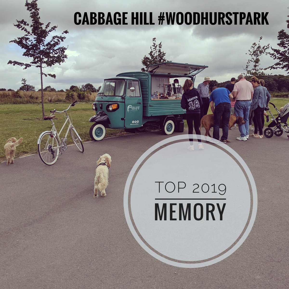 Bean and Fizz tweet media