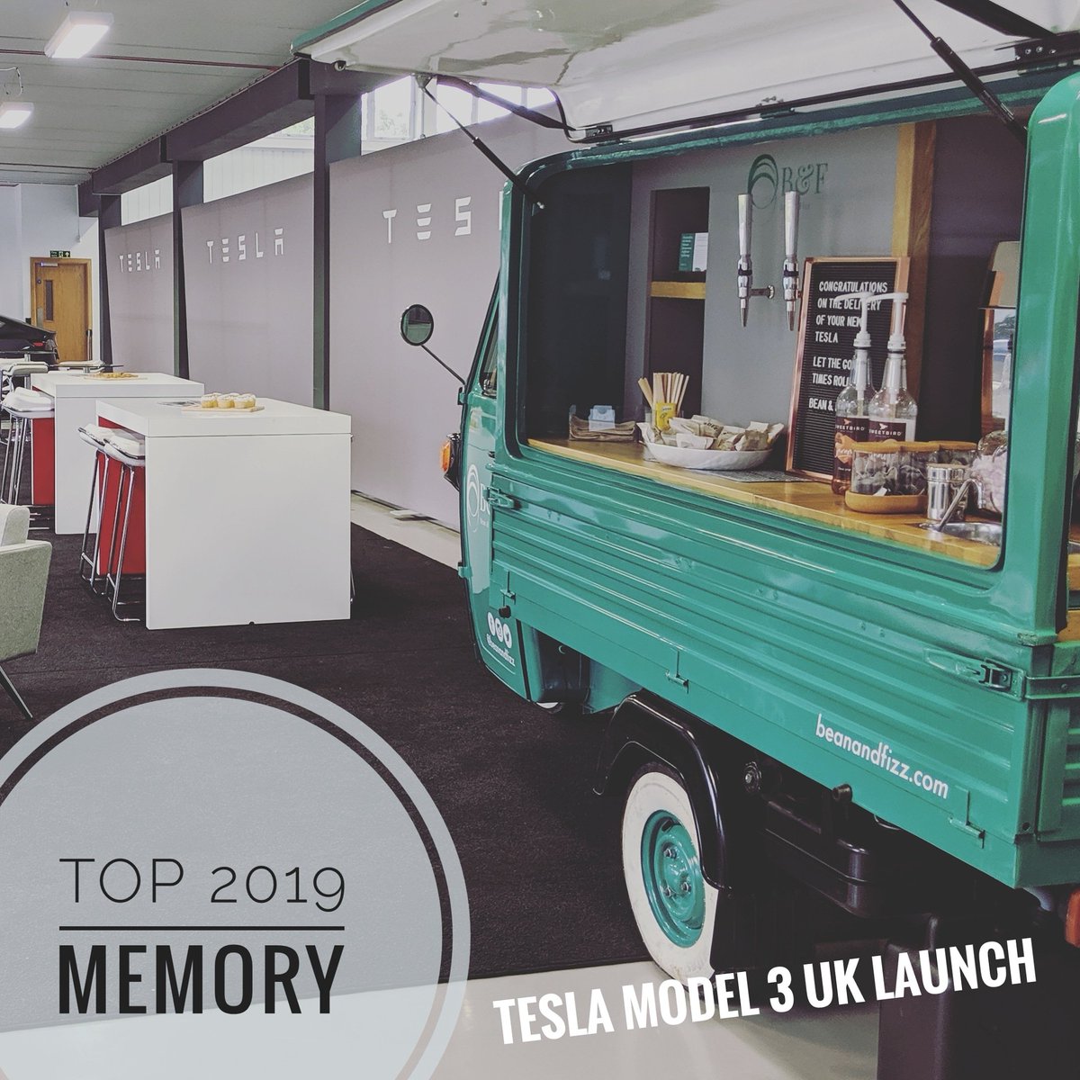 Bean and Fizz tweet media