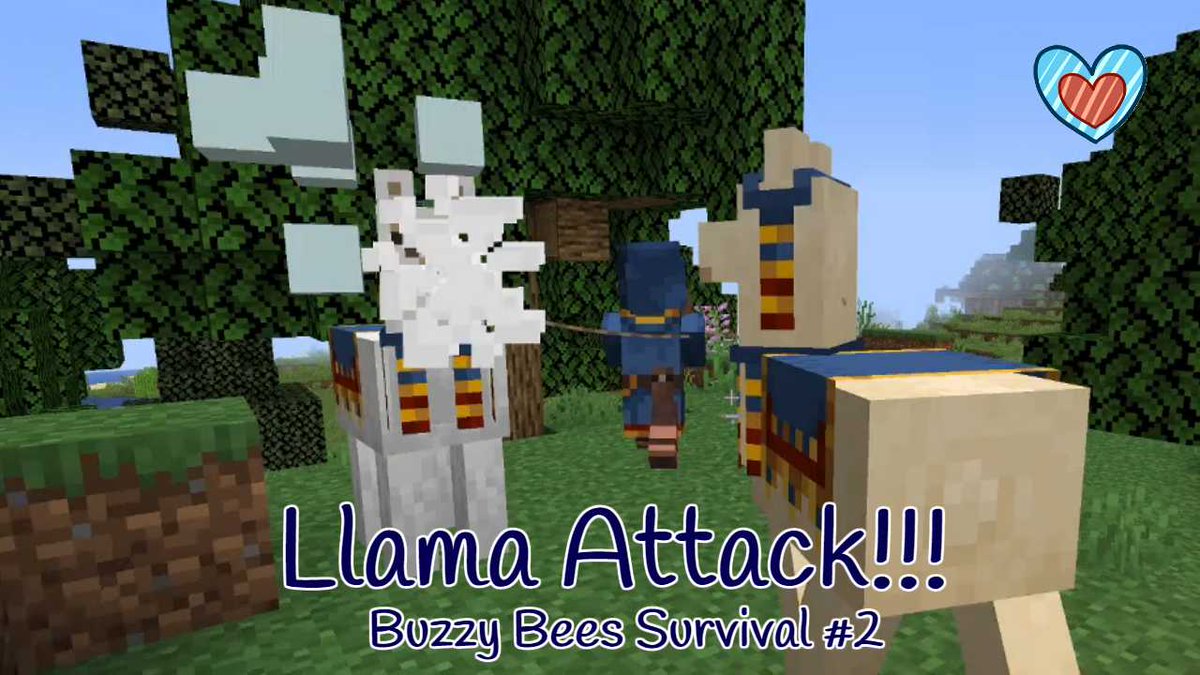 starze_'s tweet photo. Buzzy Bees Survival #2!!
https://t.co/bxzb4x3mcD
#Minecraft #Minecraft115 #BuzzyBees #MinecraftBees #MinecraftBuzzyBees https://t.co/x6JEeWfSKR