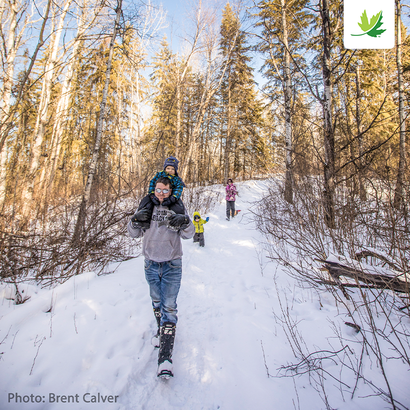 NCC_CNC's tweet photo. You don't have to wait until spring to enjoy time outdoors! NCC's #NatureDestinations across Canada are just waiting to be explored. Visit https://t.co/gKEW7yhdKJ to find your next adventure! https://t.co/GlW3sKYnlZ
