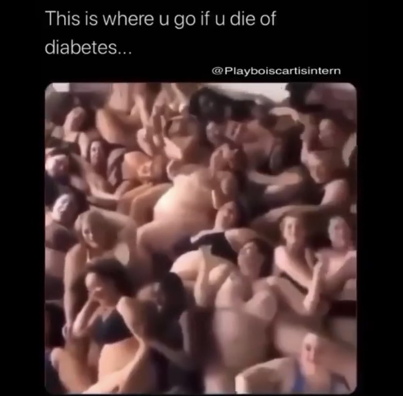 shtipools's tweet image. 