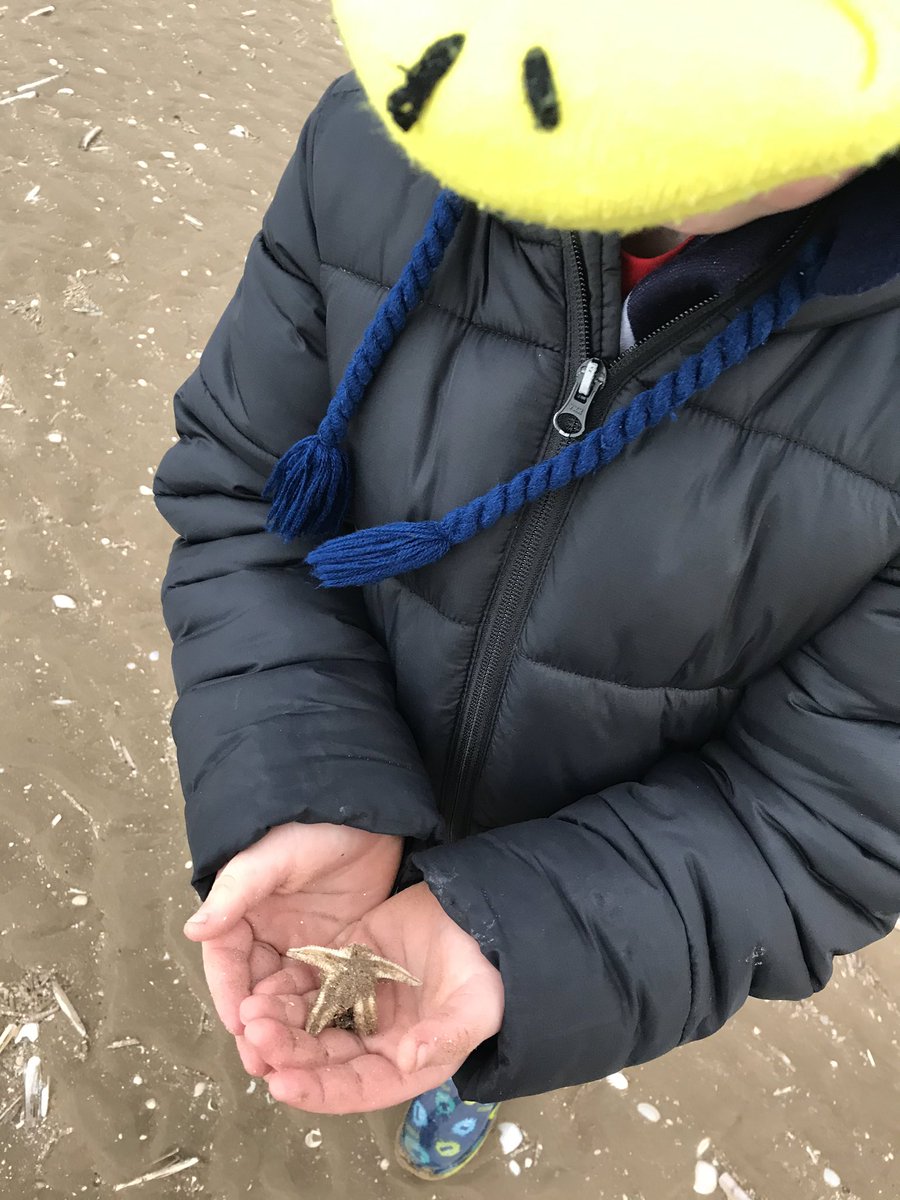 Last couple of days walking dogs #Nickynook #Southport #sunshine